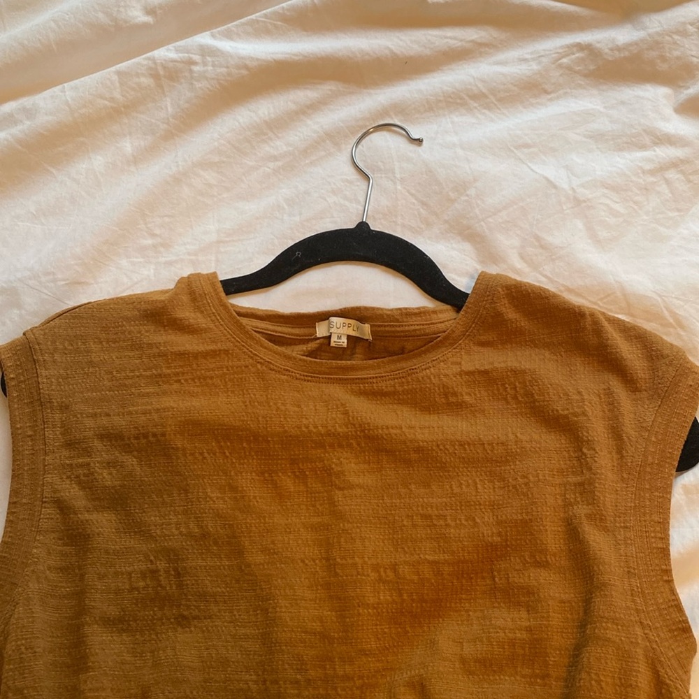 Z supply mini fall dress
